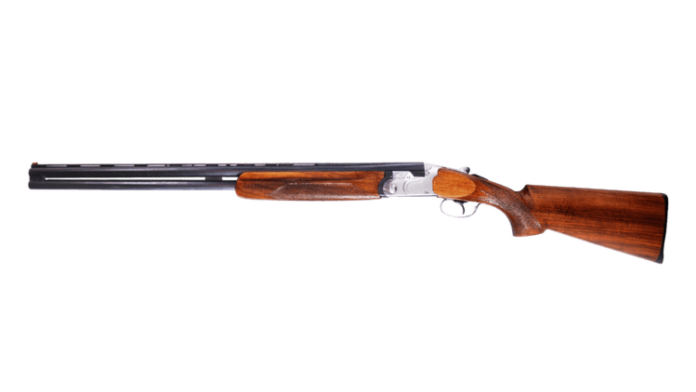 gun