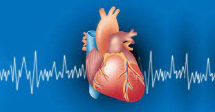 heart